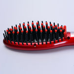 electric brush 