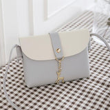 Evening Bag / PU Leather / Luxury